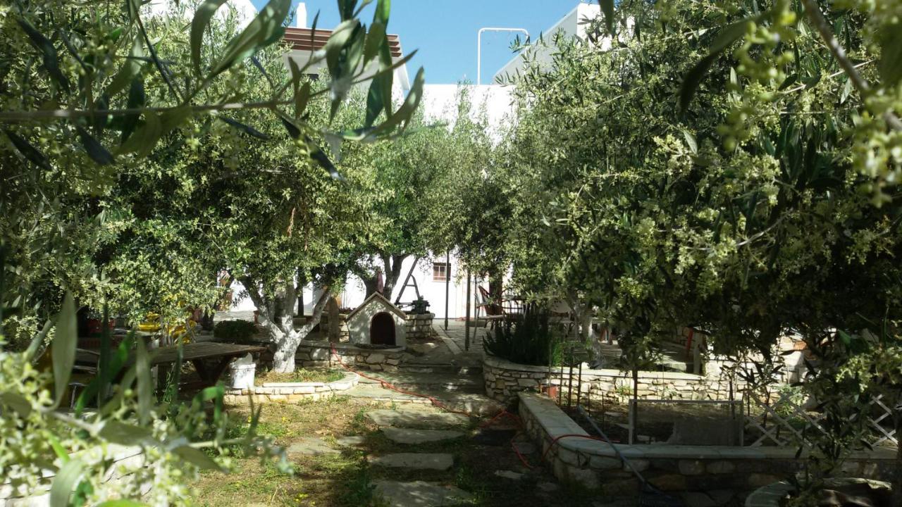 נאוסה Sunset Studios And Apartments For Adults Over 21 Only מראה חיצוני תמונה