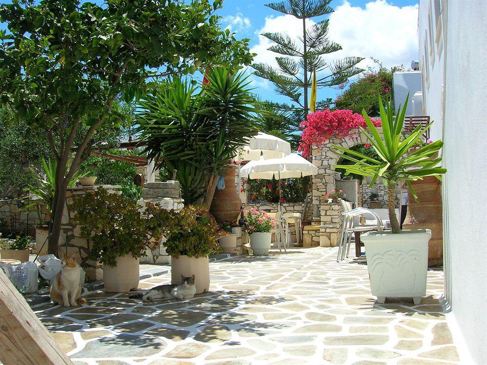 נאוסה Sunset Studios And Apartments For Adults Over 21 Only מראה חיצוני תמונה